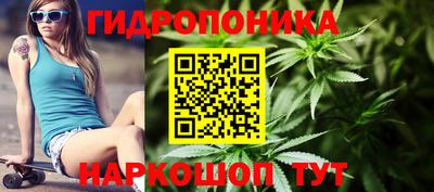 spice Кинель