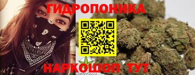 альфа пвп Кингисепп