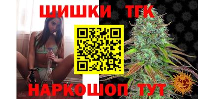 spice Кинель