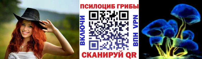 кракен ТОР  Минусинск  Галлюциногенные грибы Psilocybe 