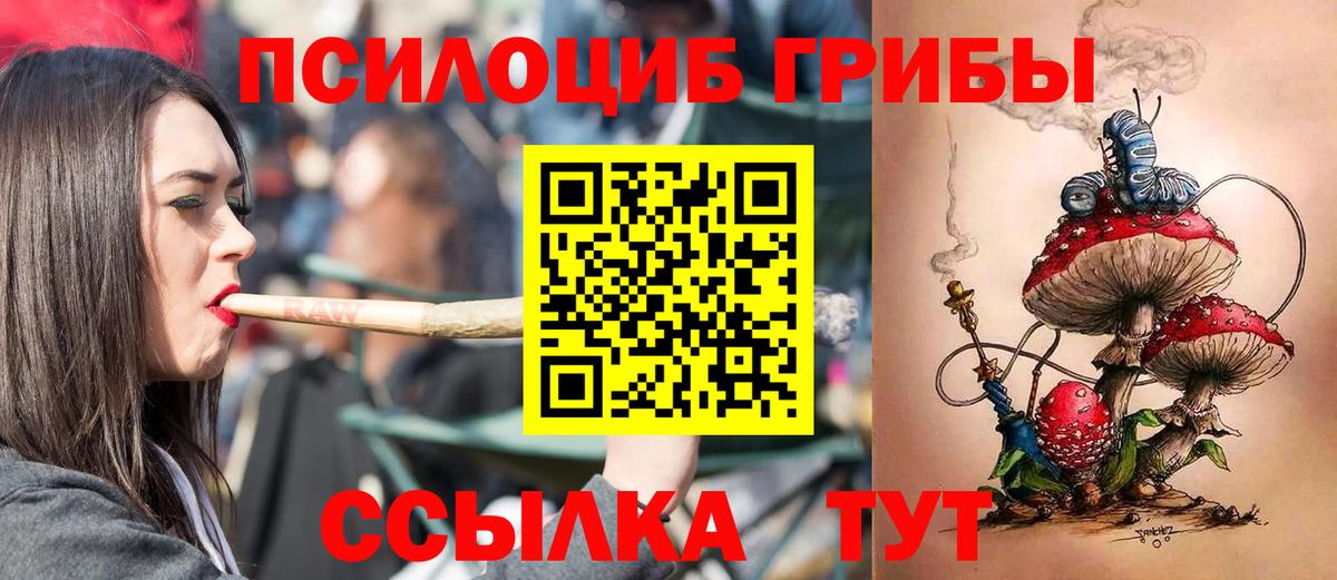 Галлюциногенные грибы Magic Shrooms  что такое   Минусинск  Вход с VPN 